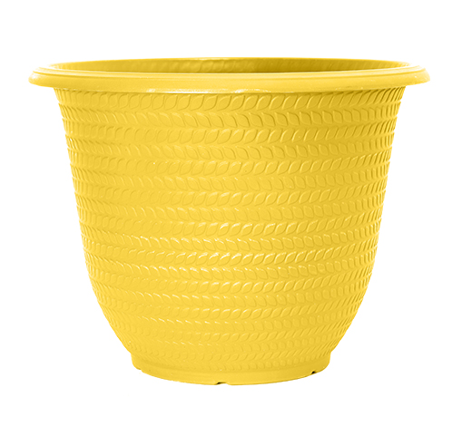 image of lemon parker planter