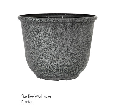 image of sadie planter