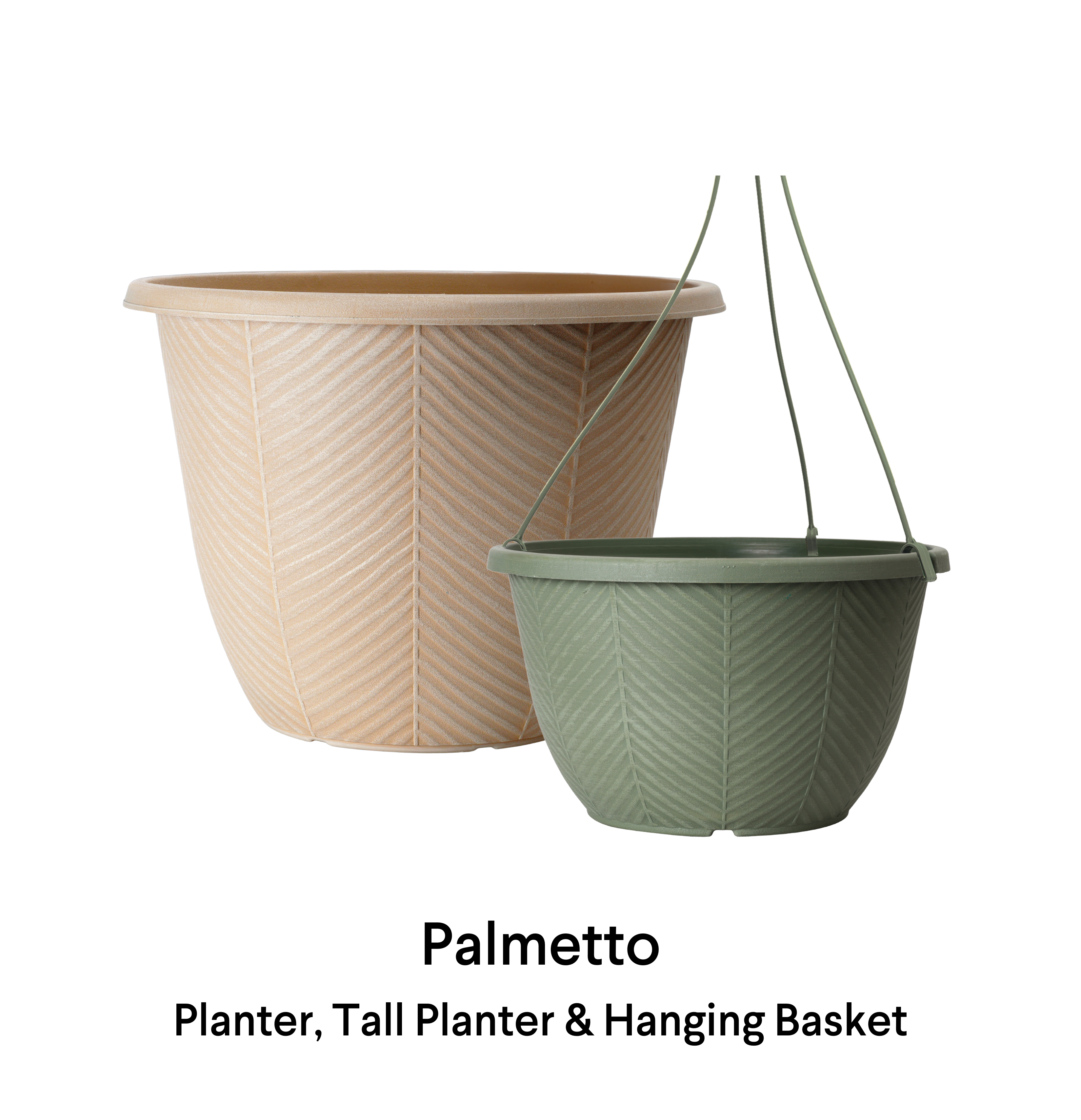 image of Palmetto Bowl